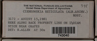 Image Associated With the Occurence